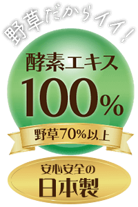 野草だからイイ！酵素エキス100％野草70％以上